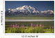 MtMckinley And The Alaska Range With Fireweed Flowers Wall Mural