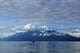 Humpback Whale Fluking In Lynn Canal Wall Mural