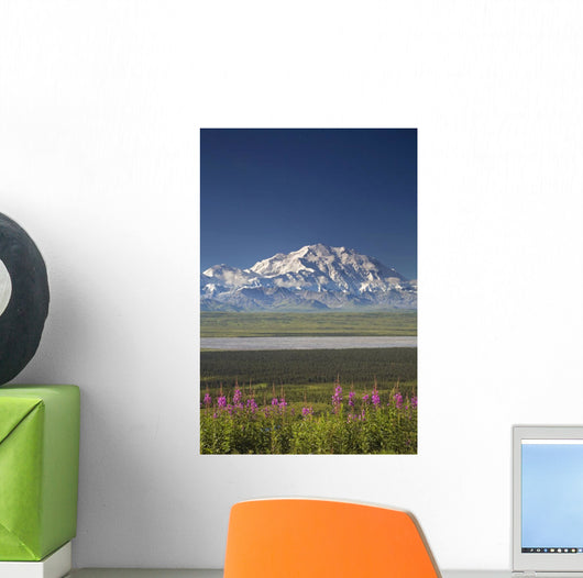 MtMckinley And The Alaska Range With Fireweed Flowers Wall Mural