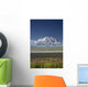 MtMckinley And The Alaska Range With Fireweed Flowers Wall Mural