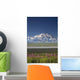 MtMckinley And The Alaska Range With Fireweed Flowers Wall Mural