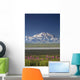 MtMckinley And The Alaska Range With Fireweed Flowers Wall Mural