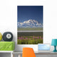 MtMckinley And The Alaska Range With Fireweed Flowers Wall Mural