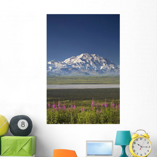 MtMckinley And The Alaska Range With Fireweed Flowers Wall Mural