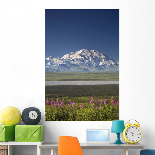 MtMckinley And The Alaska Range With Fireweed Flowers Wall Mural