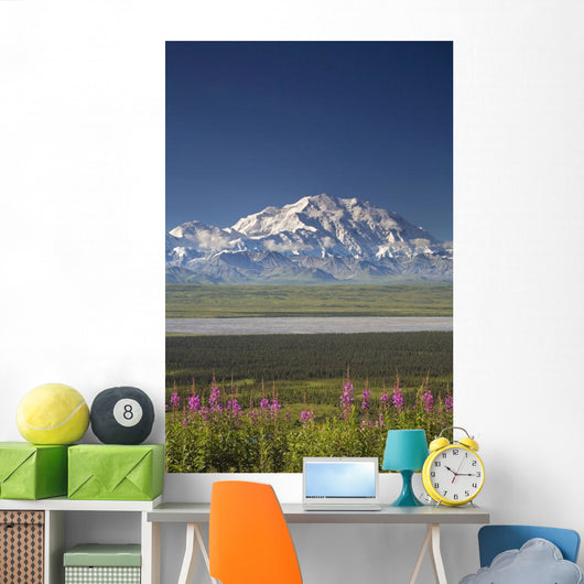 MtMckinley And The Alaska Range With Fireweed Flowers Wall Mural