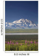 MtMckinley And The Alaska Range With Fireweed Flowers Wall Mural
