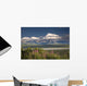 MtMckinley And The Alaska Range With Fireweed Flowers Wall Mural