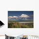 MtMckinley And The Alaska Range With Fireweed Flowers Wall Mural