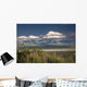 MtMckinley And The Alaska Range With Fireweed Flowers Wall Mural