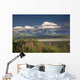 MtMckinley And The Alaska Range With Fireweed Flowers Wall Mural