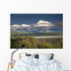 MtMckinley And The Alaska Range With Fireweed Flowers Wall Mural