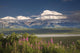 MtMckinley And The Alaska Range With Fireweed Flowers Wall Mural