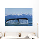 Humpback Whale Fluking In Lynn Canal With Chilkat Mountains Wall Mural