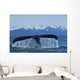 Humpback Whale Fluking In Lynn Canal With Chilkat Mountains Wall Mural