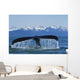 Humpback Whale Fluking In Lynn Canal With Chilkat Mountains Wall Mural