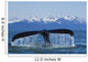 Humpback Whale Fluking In Lynn Canal With Chilkat Mountains Wall Mural