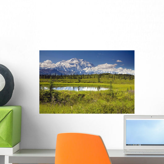MtMckinley And The Alaska Range With Kettle Pond Wall Mural