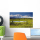 MtMckinley And The Alaska Range With Kettle Pond Wall Mural