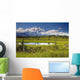 MtMckinley And The Alaska Range With Kettle Pond Wall Mural
