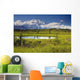 MtMckinley And The Alaska Range With Kettle Pond Wall Mural