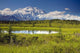 MtMckinley And The Alaska Range With Kettle Pond Wall Mural