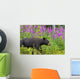 A Black Bear Searches For Soap Berries Along The Tatshenshini River Wall Mural