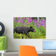 A Black Bear Searches For Soap Berries Along The Tatshenshini River Wall Mural
