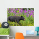 A Black Bear Searches For Soap Berries Along The Tatshenshini River Wall Mural