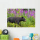 A Black Bear Searches For Soap Berries Along The Tatshenshini River Wall Mural