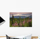 Southside View Of MtMckinley Wall Mural