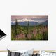 Southside View Of MtMckinley Wall Mural
