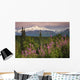 Southside View Of MtMckinley Wall Mural