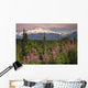 Southside View Of MtMckinley Wall Mural