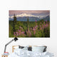 Southside View Of MtMckinley Wall Mural