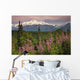 Southside View Of MtMckinley Wall Mural