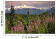 Southside View Of MtMckinley Wall Mural