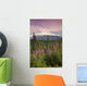 Southside View Of MtMckinley Wall Mural