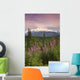 Southside View Of MtMckinley Wall Mural