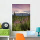 Southside View Of MtMckinley Wall Mural