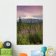 Southside View Of MtMckinley Wall Mural