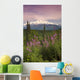Southside View Of MtMckinley Wall Mural