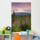 Southside View Of MtMckinley Wall Mural