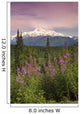 Southside View Of MtMckinley Wall Mural