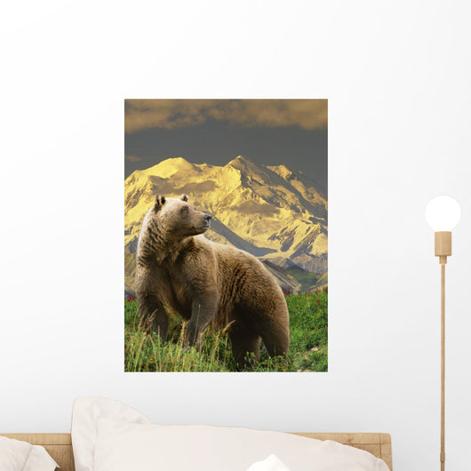 Composite Grizzly Stands On Tundra With Mt Mckinley In The Background Wall Mural
