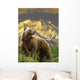 Composite Grizzly Stands On Tundra With Mt Mckinley In The Background Wall Mural