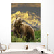 Composite Grizzly Stands On Tundra With Mt Mckinley In The Background Wall Mural