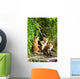 Red Fox Kits Playing Close To Their Den During Summer In Alaska Wall Mural