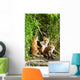 Red Fox Kits Playing Close To Their Den During Summer In Alaska Wall Mural