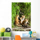 Red Fox Kits Playing Close To Their Den During Summer In Alaska Wall Mural